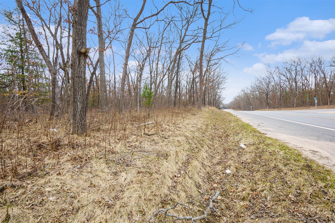 V/L N Woodbridge Road, Bitely, MI, 49309