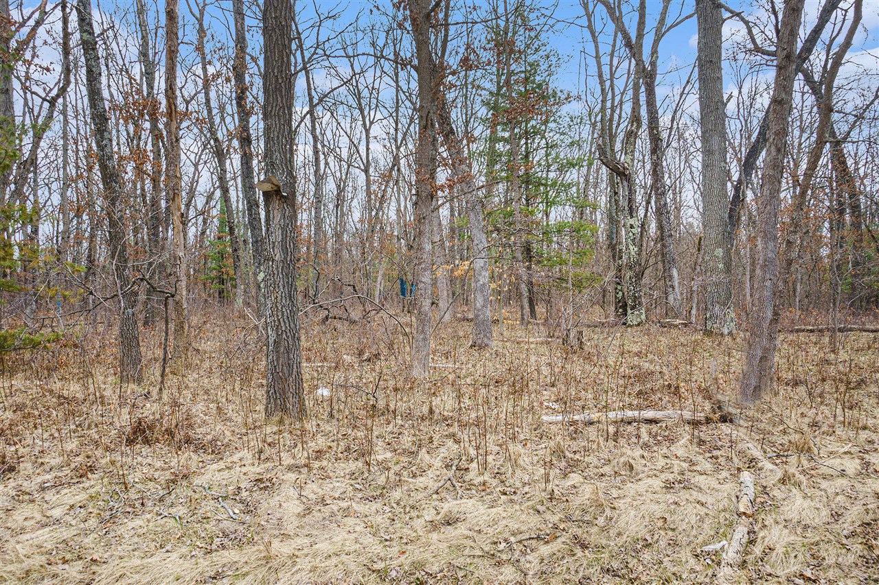V/L N Woodbridge Road, Bitely, MI, 49309
