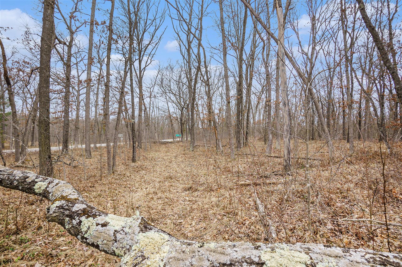 V/L N Woodbridge Road, Bitely, MI, 49309