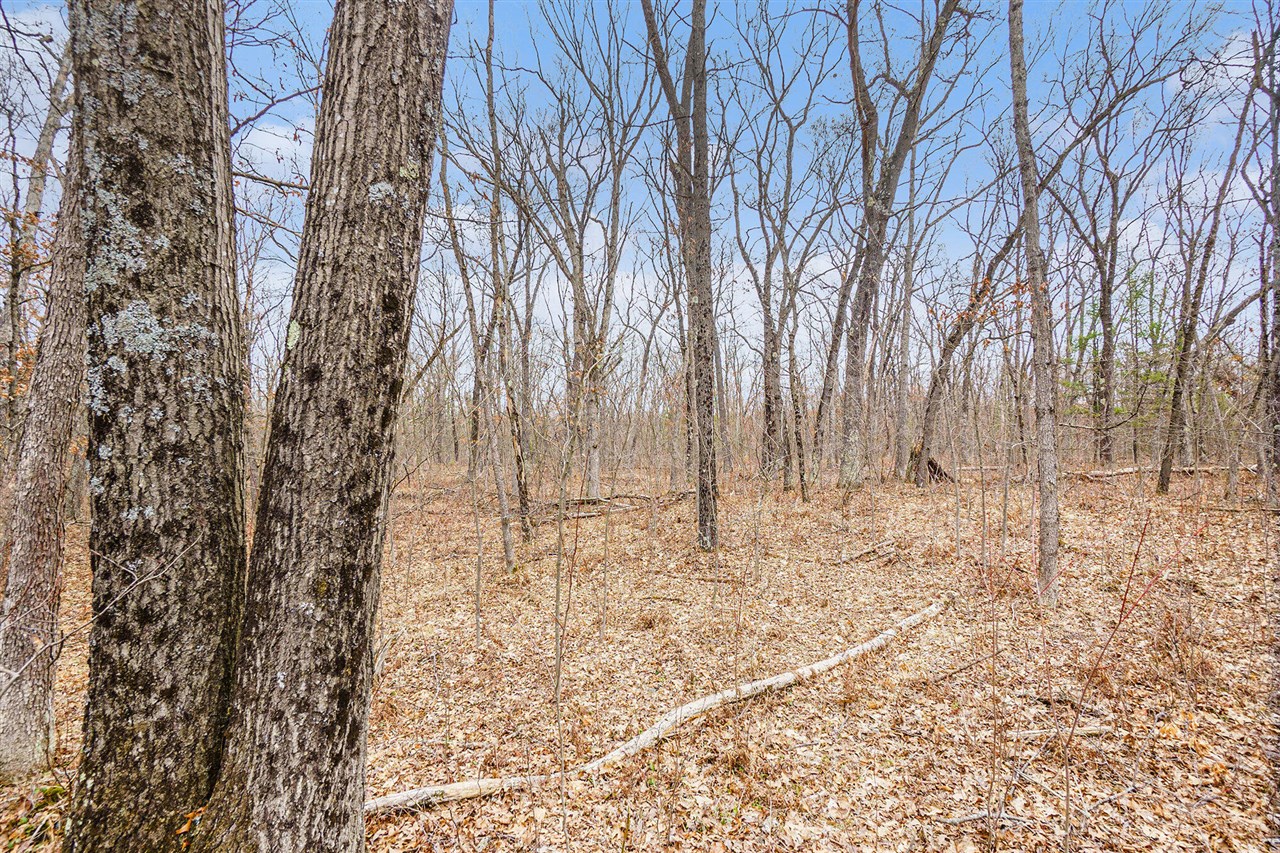 V/L N Woodbridge Road, Bitely, MI, 49309