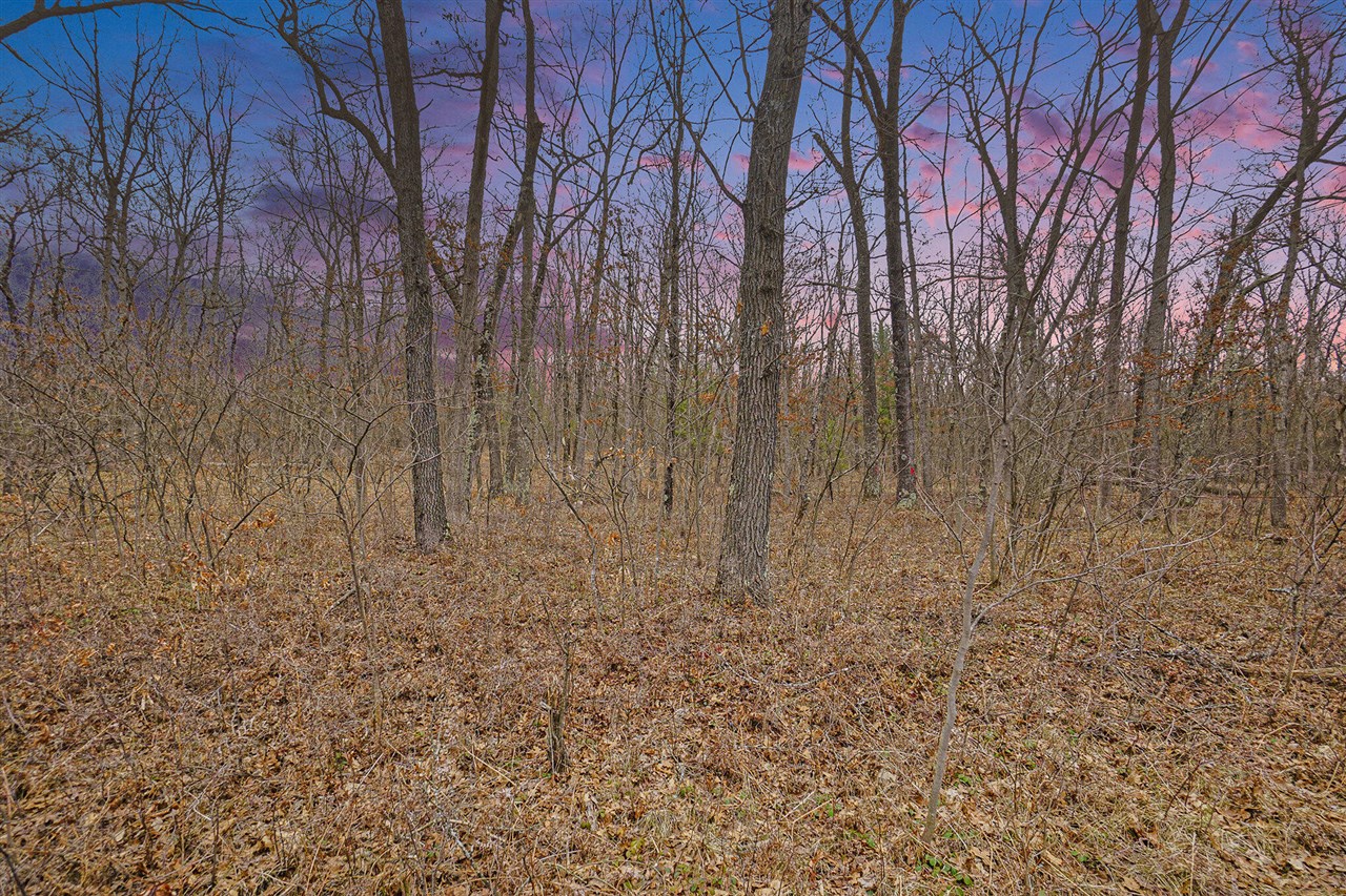V/L N Woodbridge Road, Bitely, MI, 49309