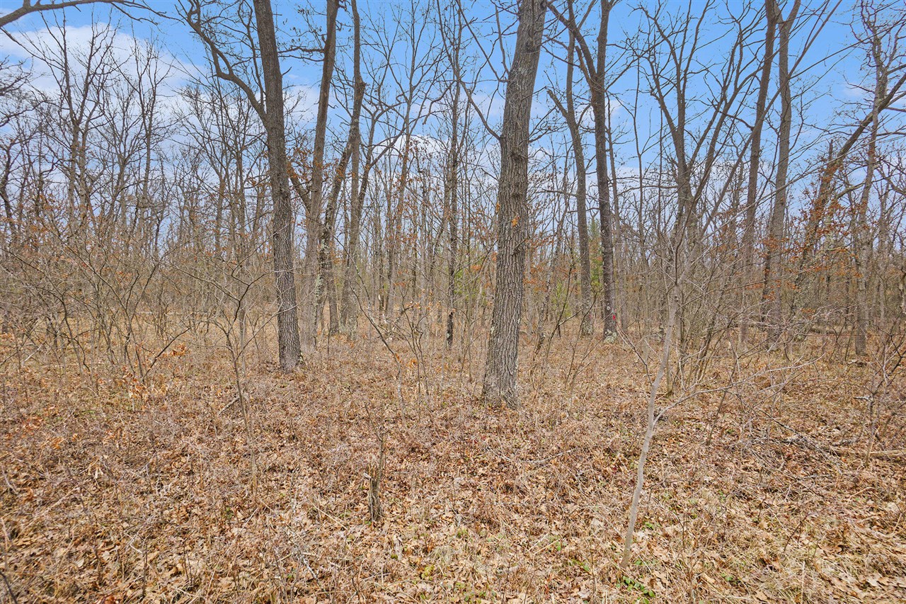 V/L N Woodbridge Road, Bitely, MI, 49309