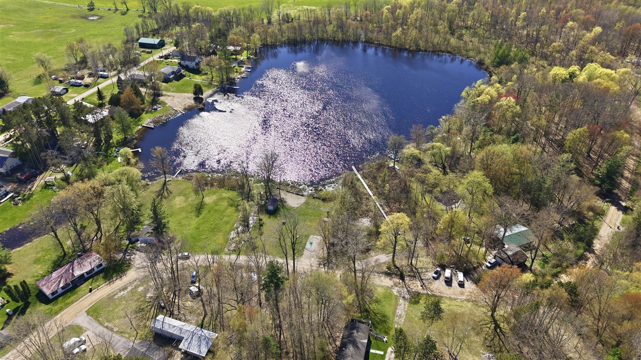 6059 Terry Drive, Six Lakes, MI, 48886-9602