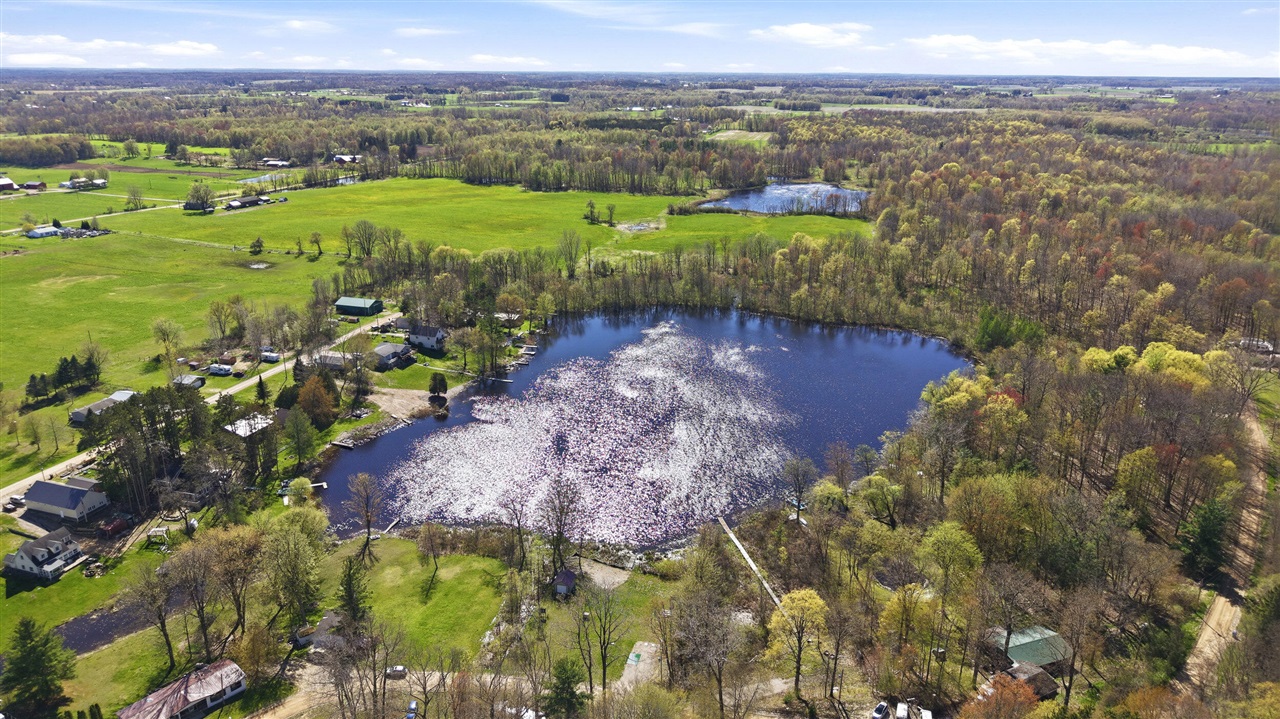 6059 Terry Drive, Six Lakes, MI, 48886-9602