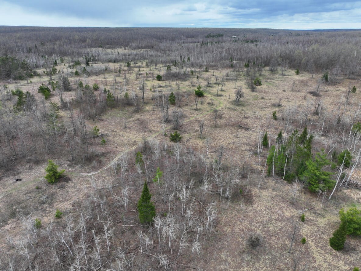 image of V/l 15a Finnegan Rd, Johannesburg, MI 49751 | MLS# 70528648