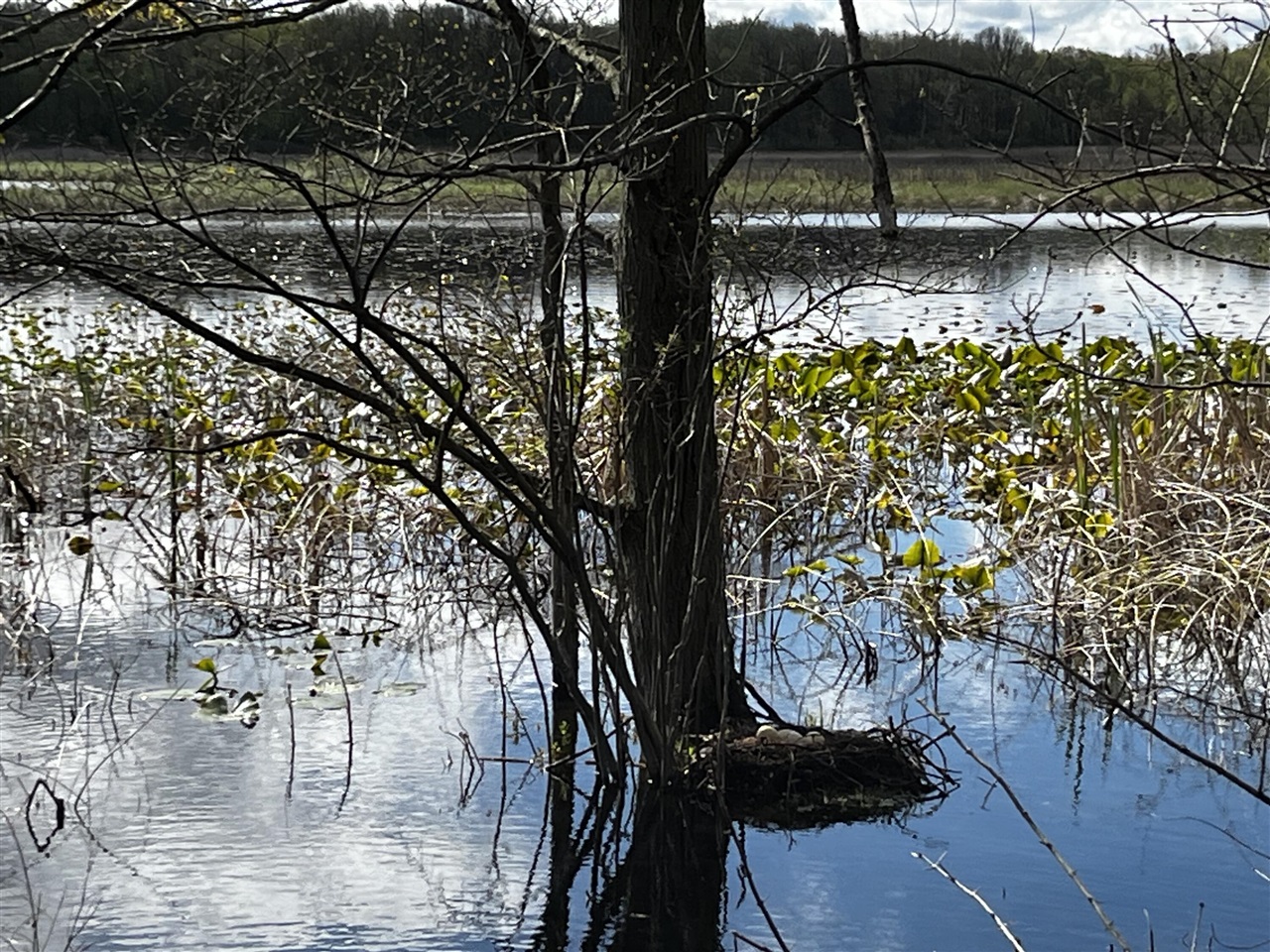 Vl Hubbard Road, Hanover, MI, 49241
