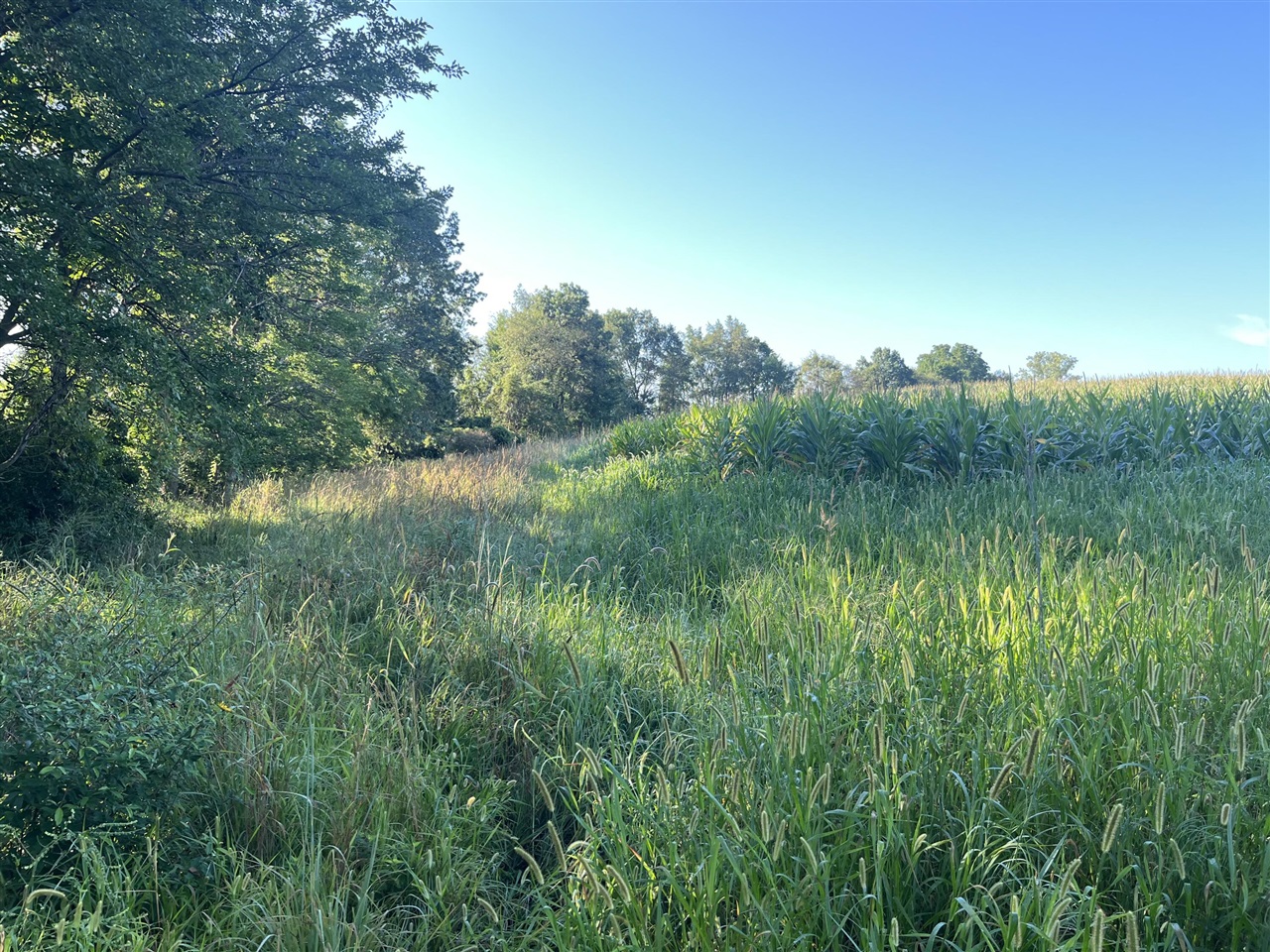 Photo 3 of Land for sale at Vl Hubbard Rd, Hanover, MI 49241 | MLS# 70528764 | Listing updated on 2026-10-01