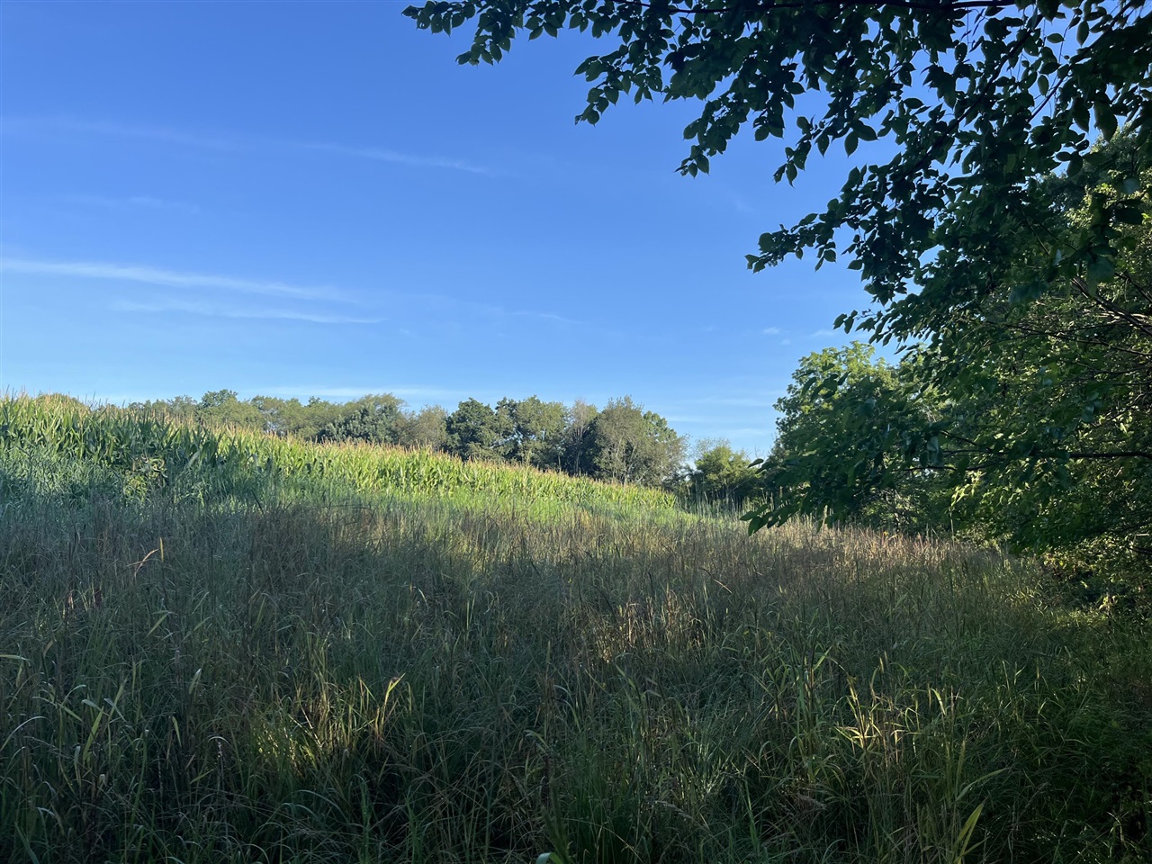 Photo 3 of Land for sale at Vl Hubbard Rd, Hanover, MI 49241 | MLS# 70528764 | Listing updated on 2026-10-01
