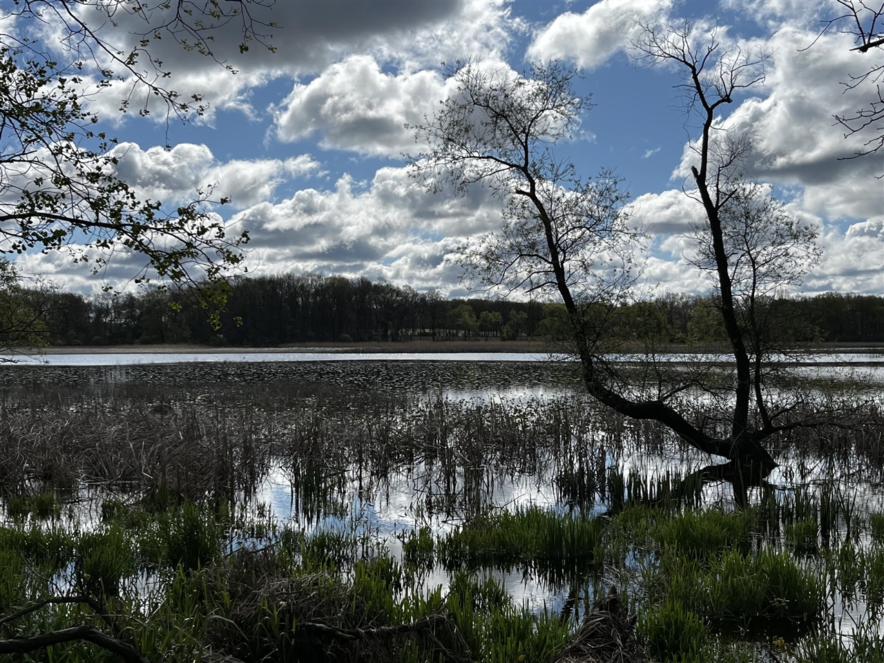 Vl Hubbard Road, Hanover, MI, 49241