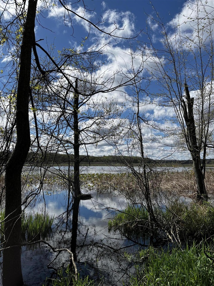 Vl Hubbard Road, Hanover, MI, 49241