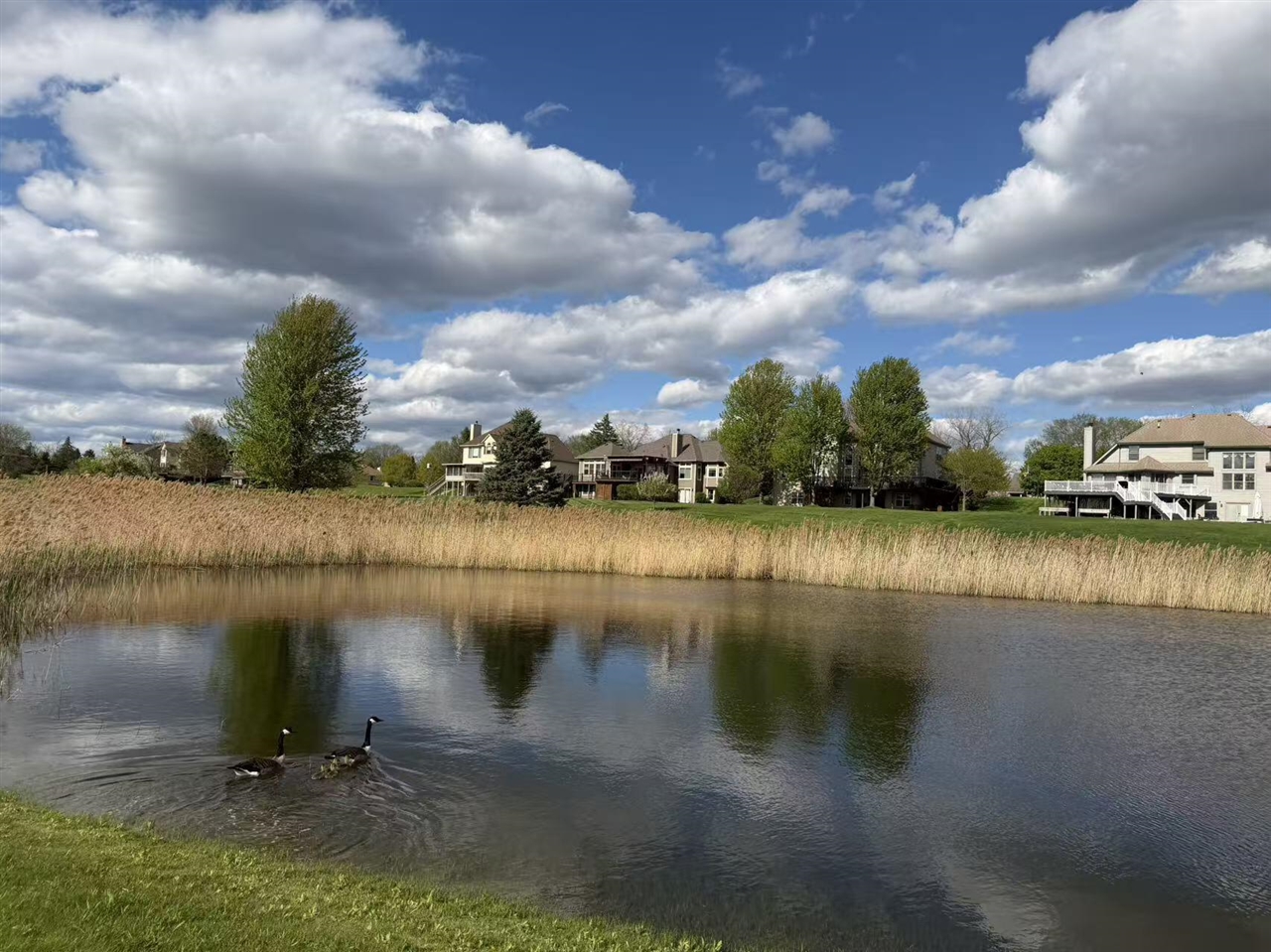 4101 Lake Forest Drive, Ann Arbor, MI, 48108-9678