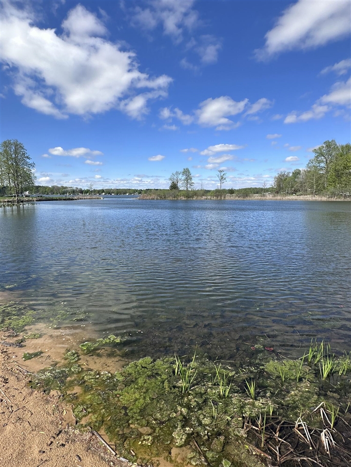 VL Horseshoe Cove, Allegan, MI, 49010-8547