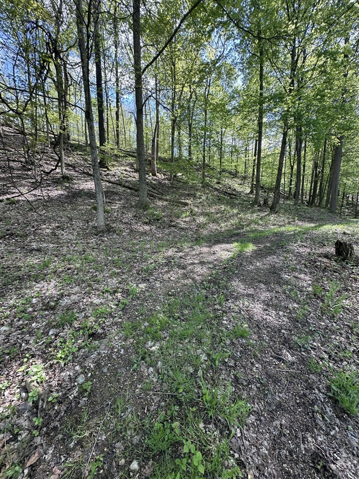 VL Horseshoe Cove, Allegan, MI, 49010-8547