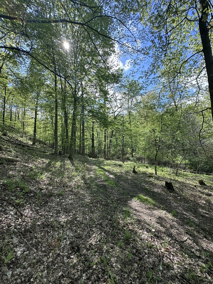 VL Horseshoe Cove, Allegan, MI, 49010-8547