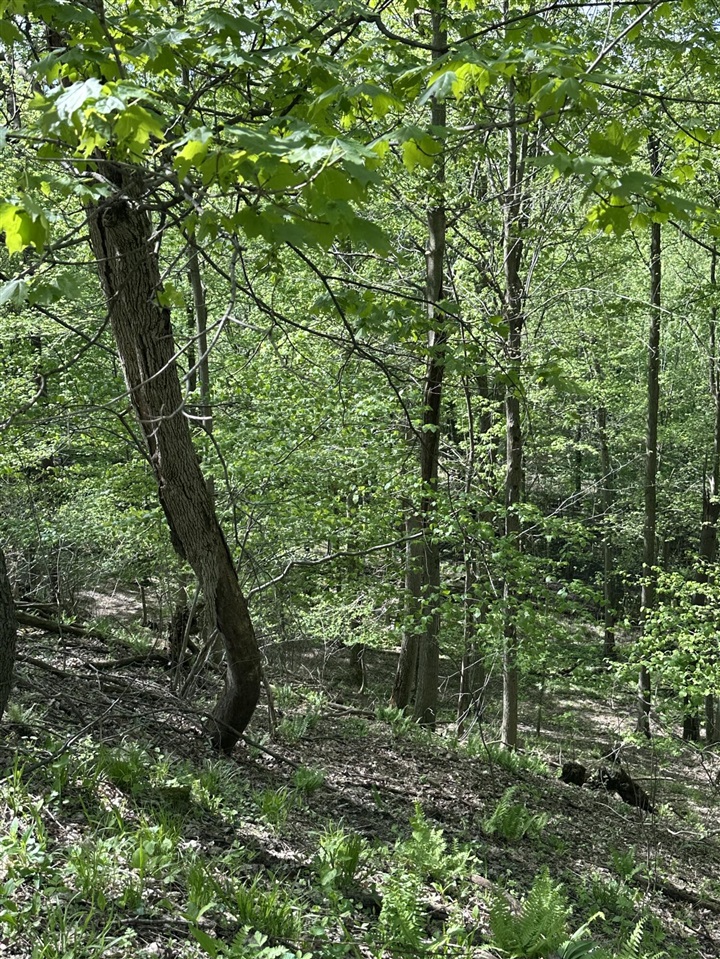 VL Horseshoe Cove, Allegan, MI, 49010-8547