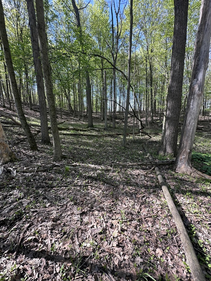 VL Horseshoe Cove, Allegan, MI, 49010-8547