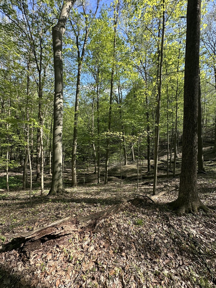 VL Horseshoe Cove, Allegan, MI, 49010-8547