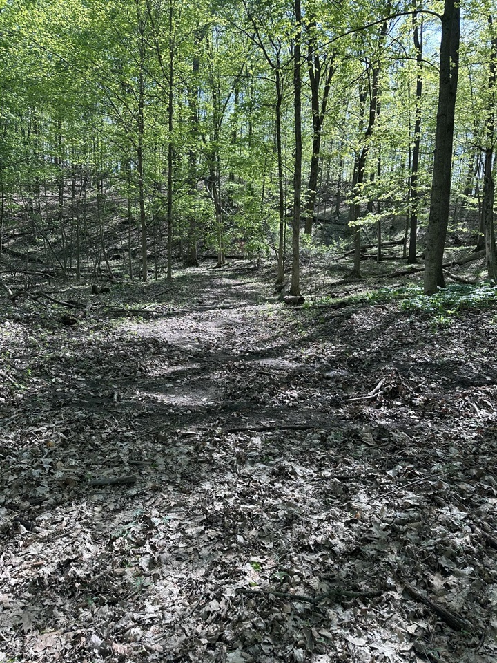 VL Horseshoe Cove, Allegan, MI, 49010-8547