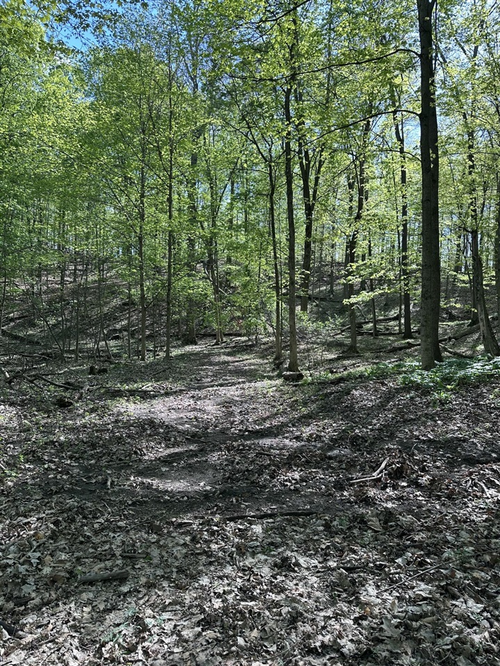 VL Horseshoe Cove, Allegan, MI, 49010-8547