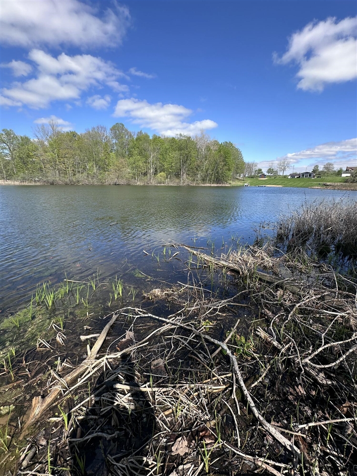 VL Horseshoe Cove, Allegan, MI, 49010-8547