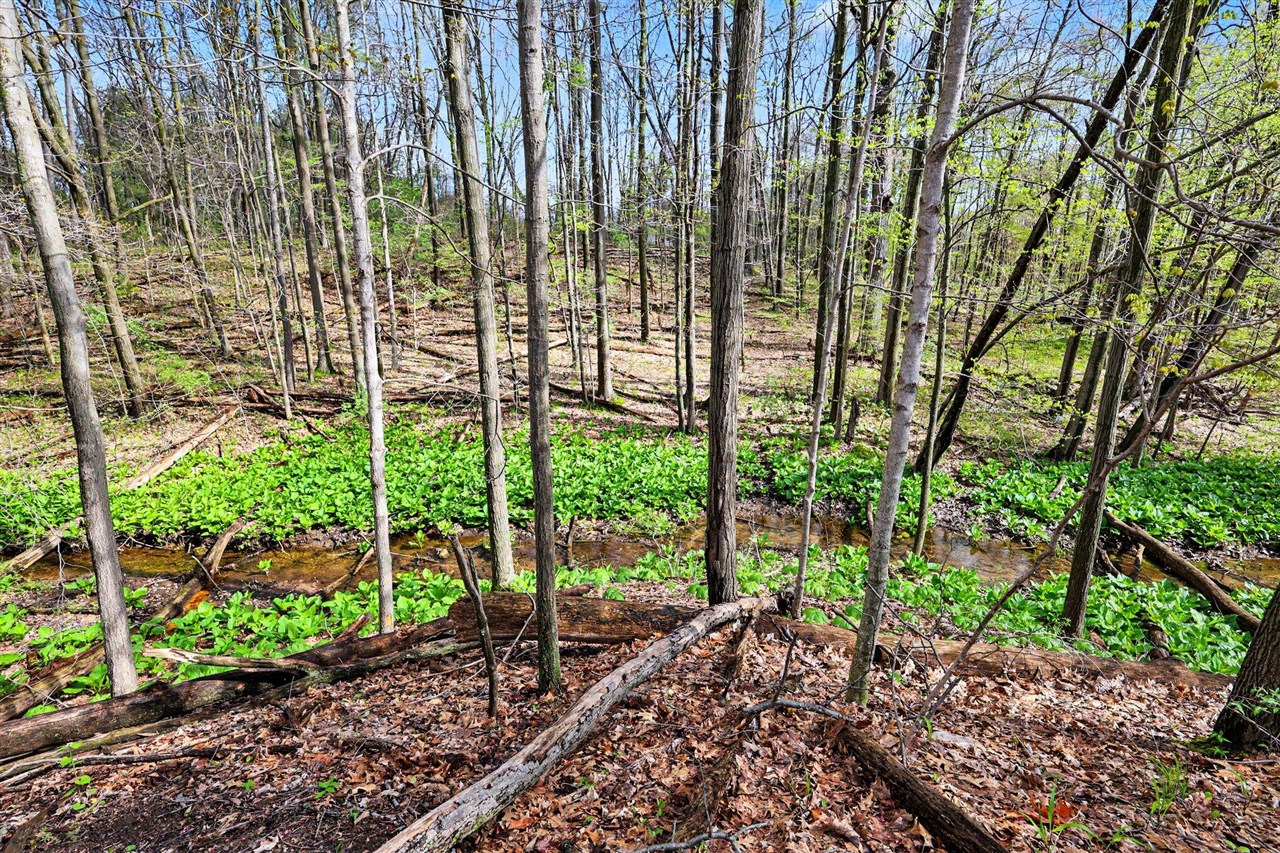 0 W Old Us 12, Chelsea, MI, 48118