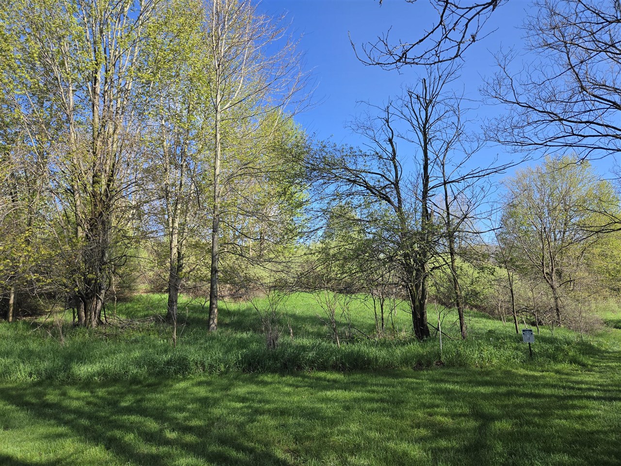 0 W Old Us 12, Chelsea, MI, 48118