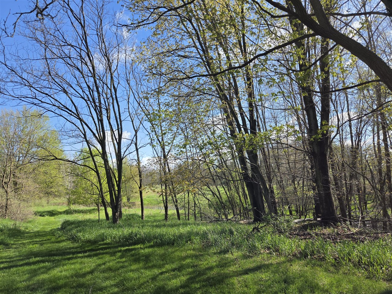 0 W Old Us 12, Chelsea, MI, 48118
