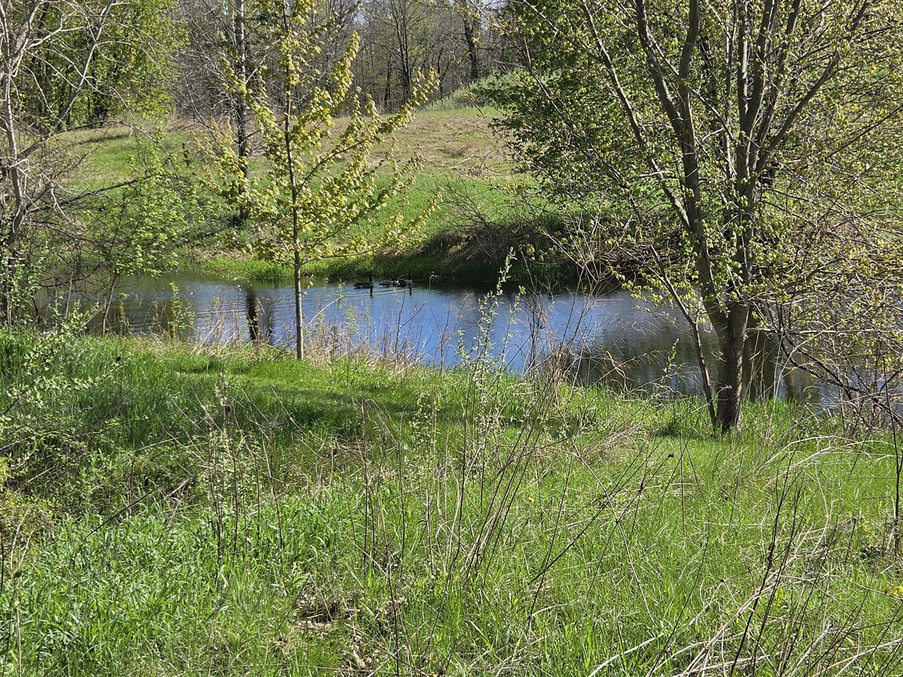 0 W Old Us 12, Chelsea, MI, 48118