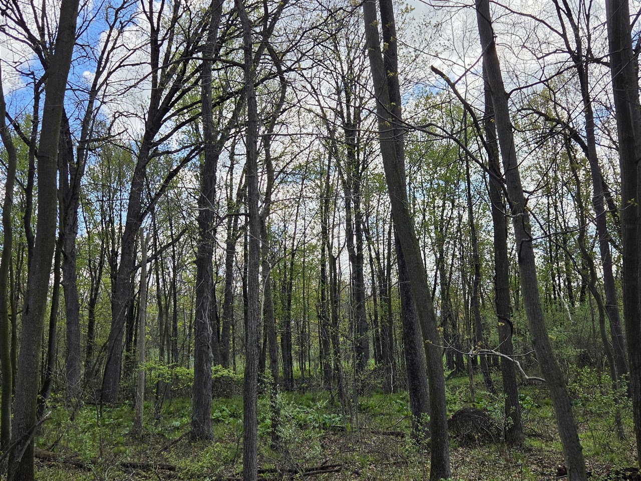 0 W Old Us 12, Chelsea, MI, 48118