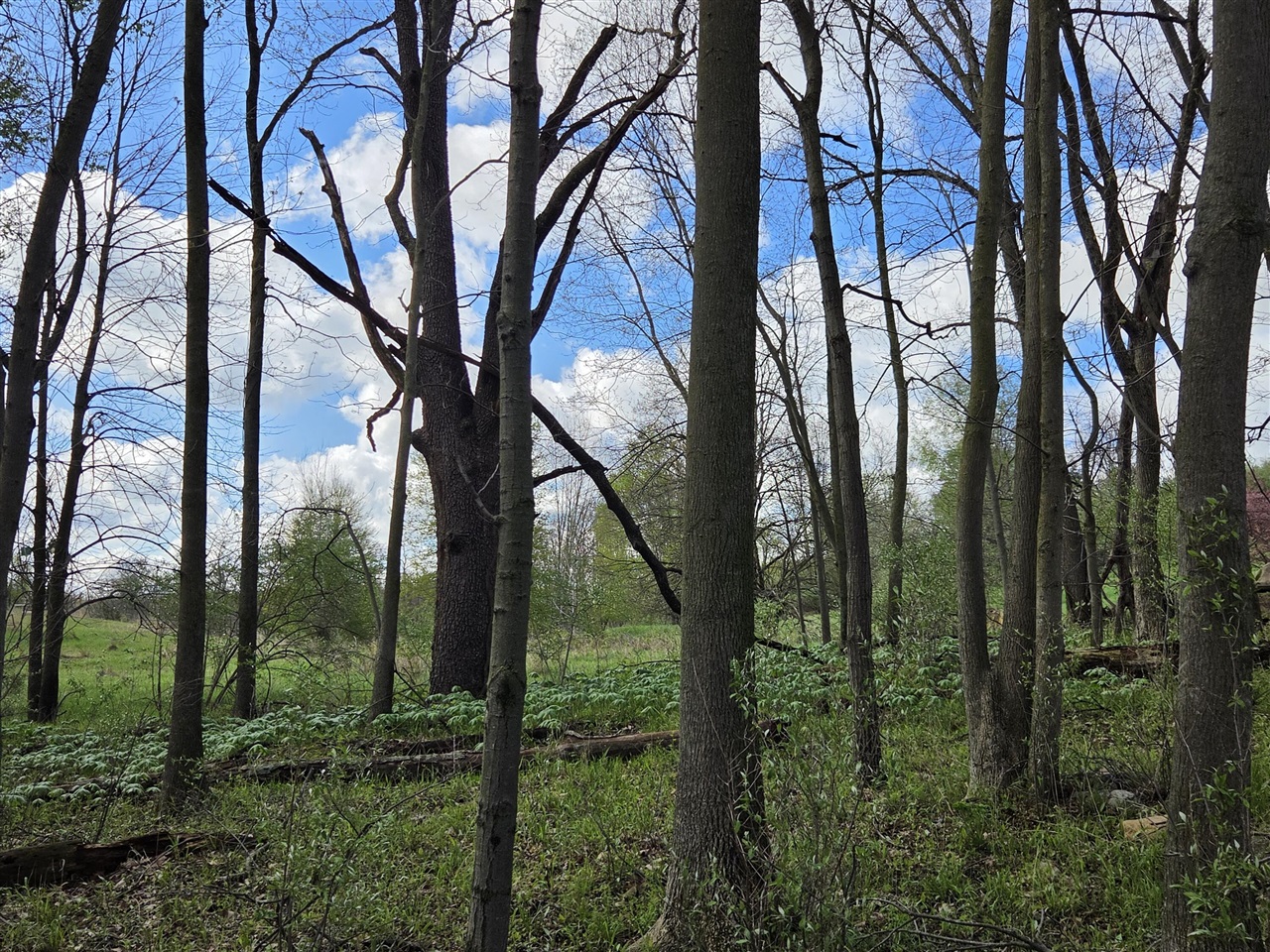 0 W Old Us 12, Chelsea, MI, 48118
