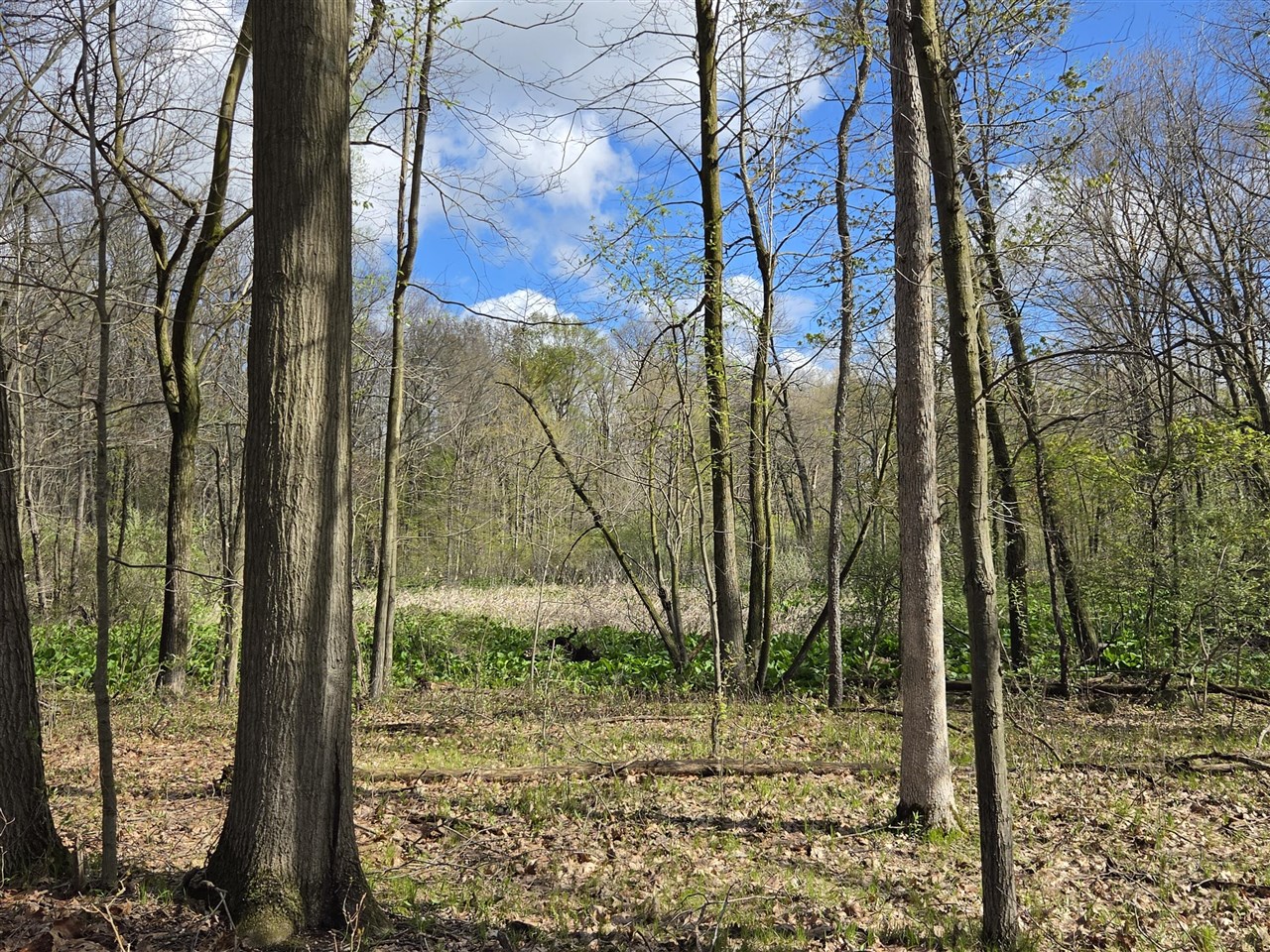 0 W Old Us 12, Chelsea, MI, 48118