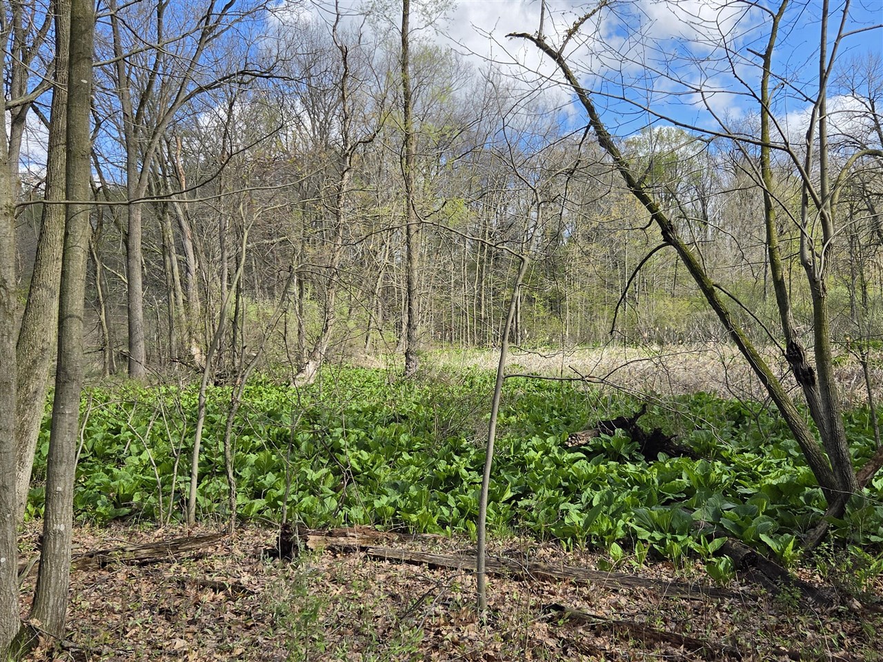 0 W Old Us 12, Chelsea, MI, 48118