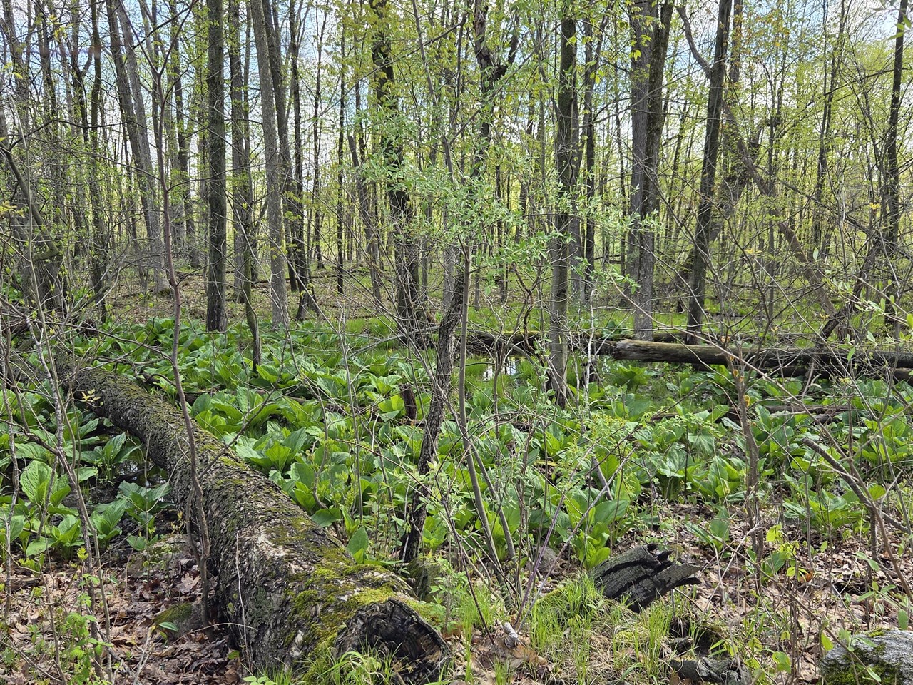 0 W Old Us 12, Chelsea, MI, 48118