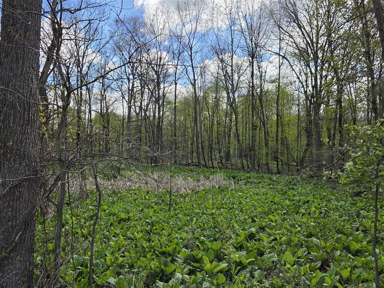 0 W Old Us 12, Chelsea, MI, 48118