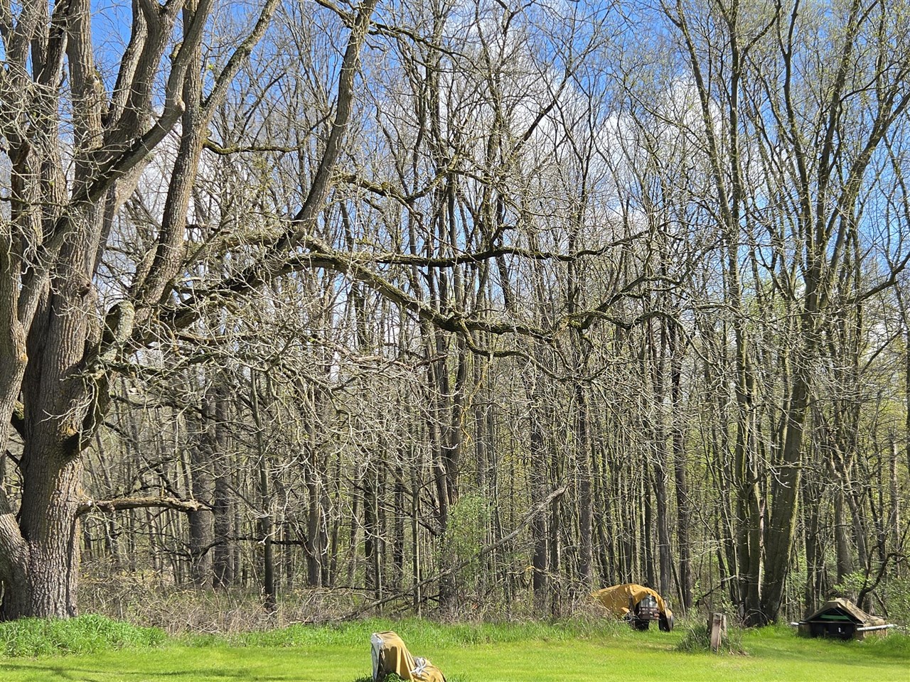 0 W Old Us 12, Chelsea, MI, 48118