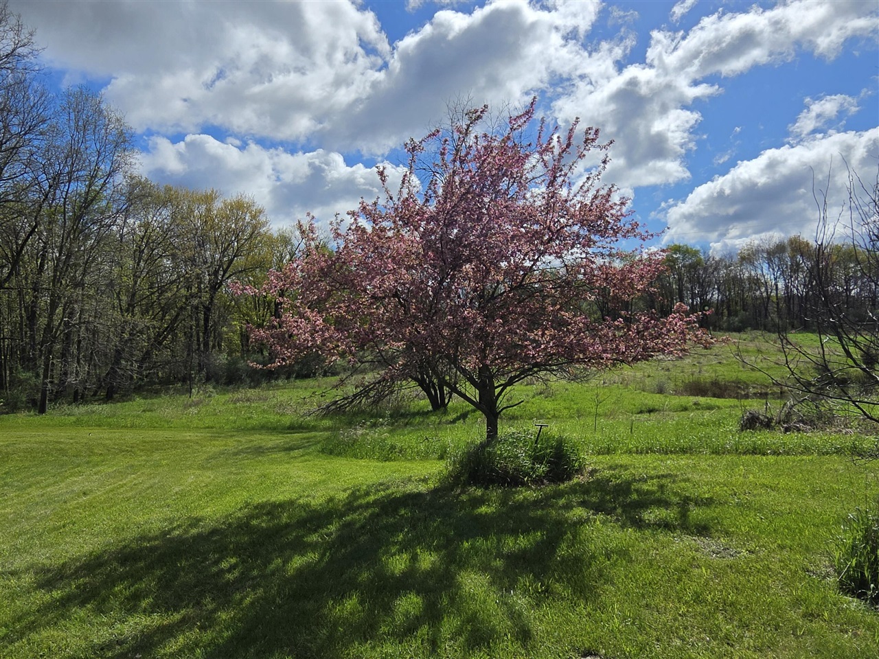 0 W Old Us 12, Chelsea, MI, 48118