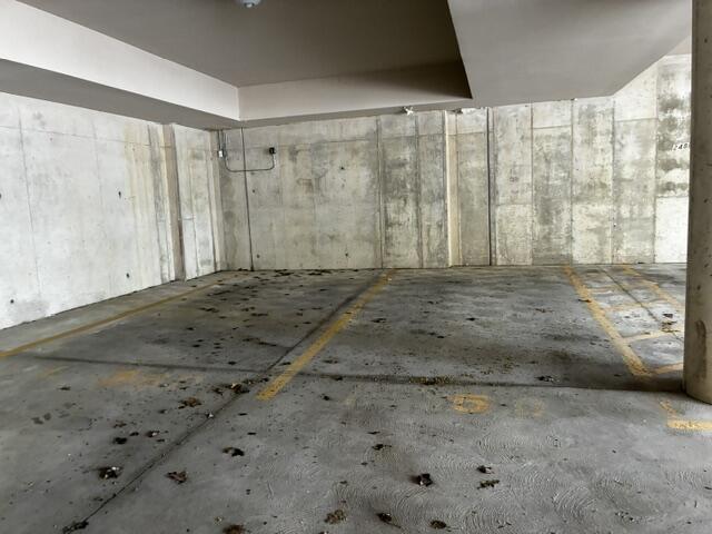 260 Snyder Avenue, Ann Arbor, MI, 48103-5563
