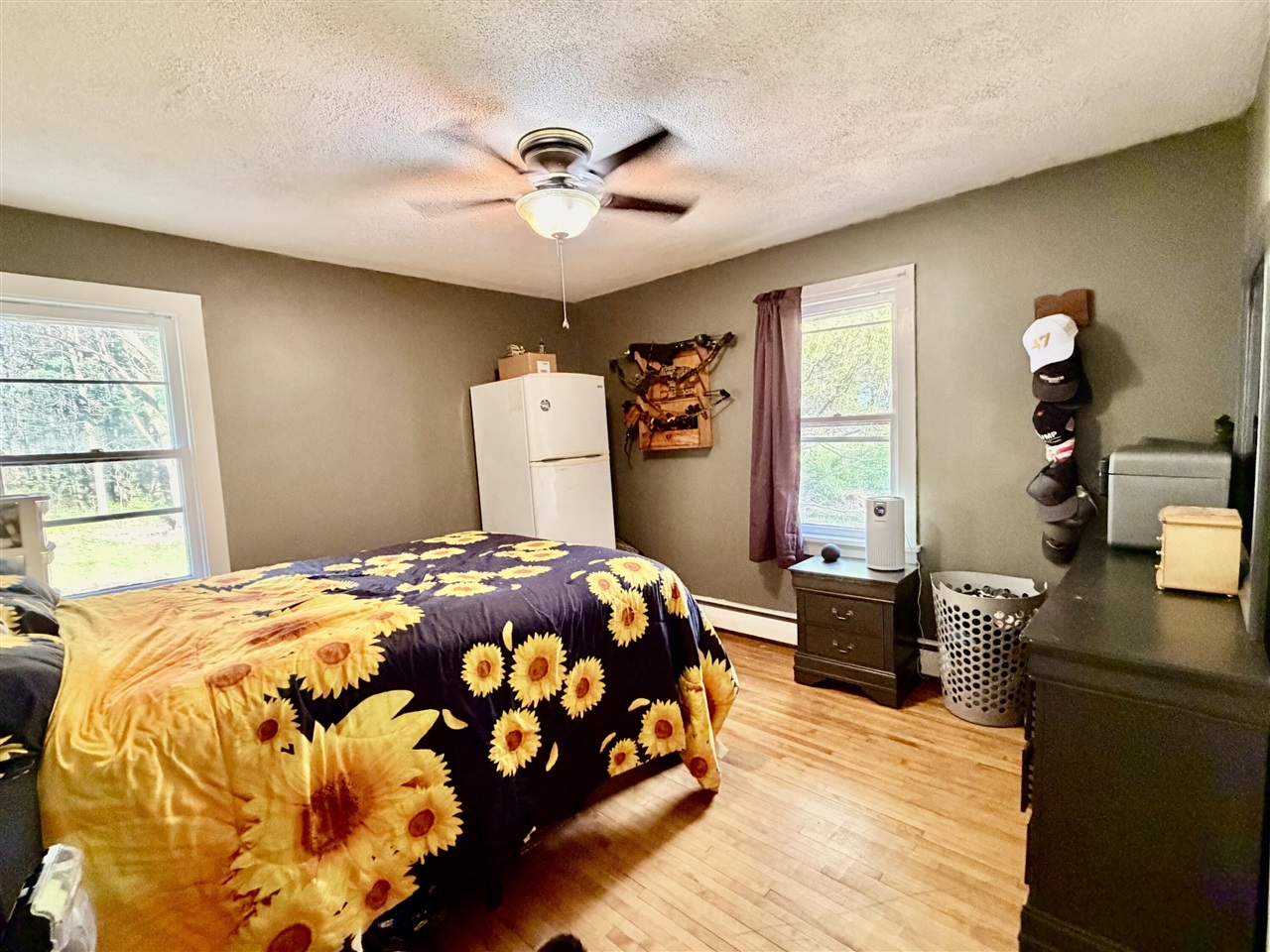 822 Mechanic Street, Big Rapids, MI, 49307-1238