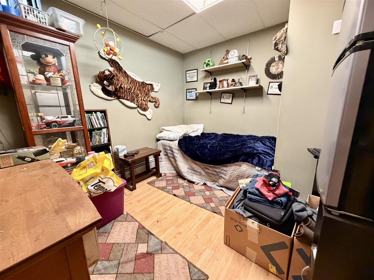 822 Mechanic Street, Big Rapids, MI, 49307-1238