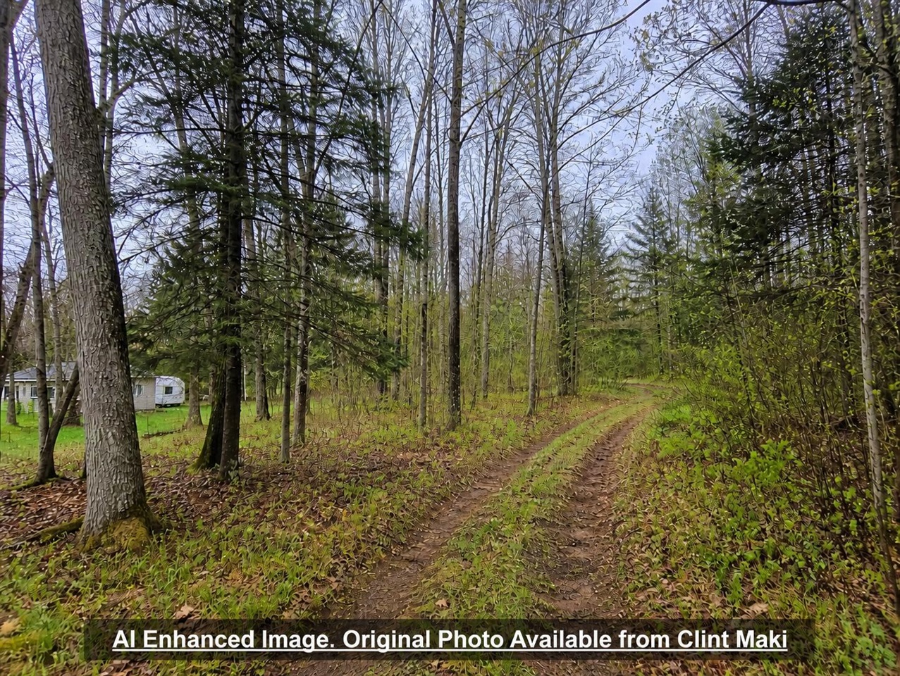 2995 S Tyndall Road, Branch, MI, 49402