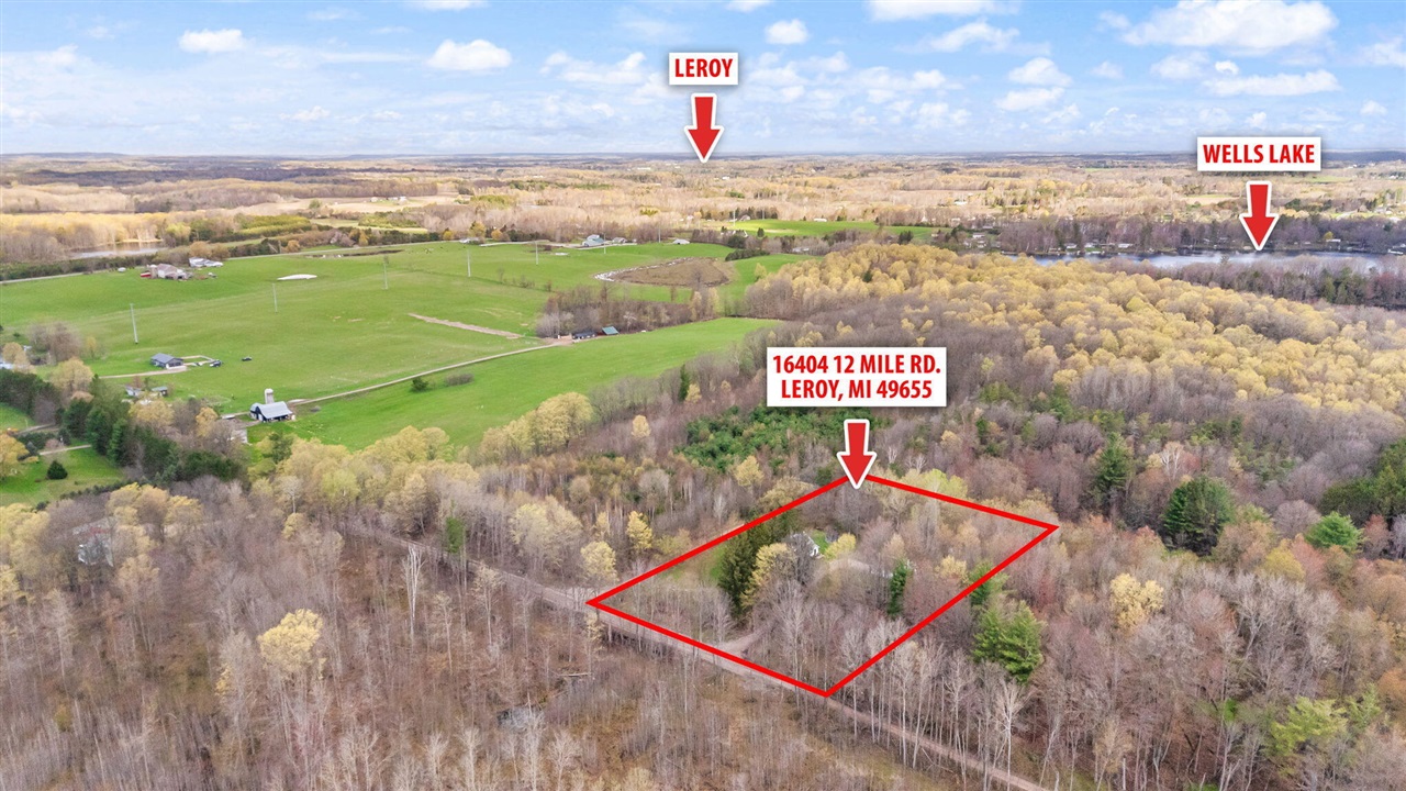 16404 12 Mile Road, Leroy, MI, 49655-8038