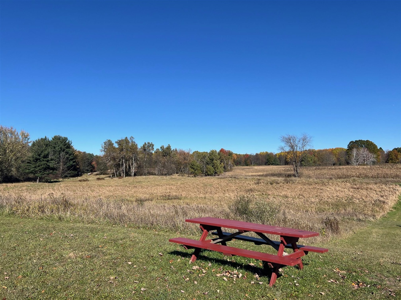 3344 E Hansen Road, Custer, MI, 49405