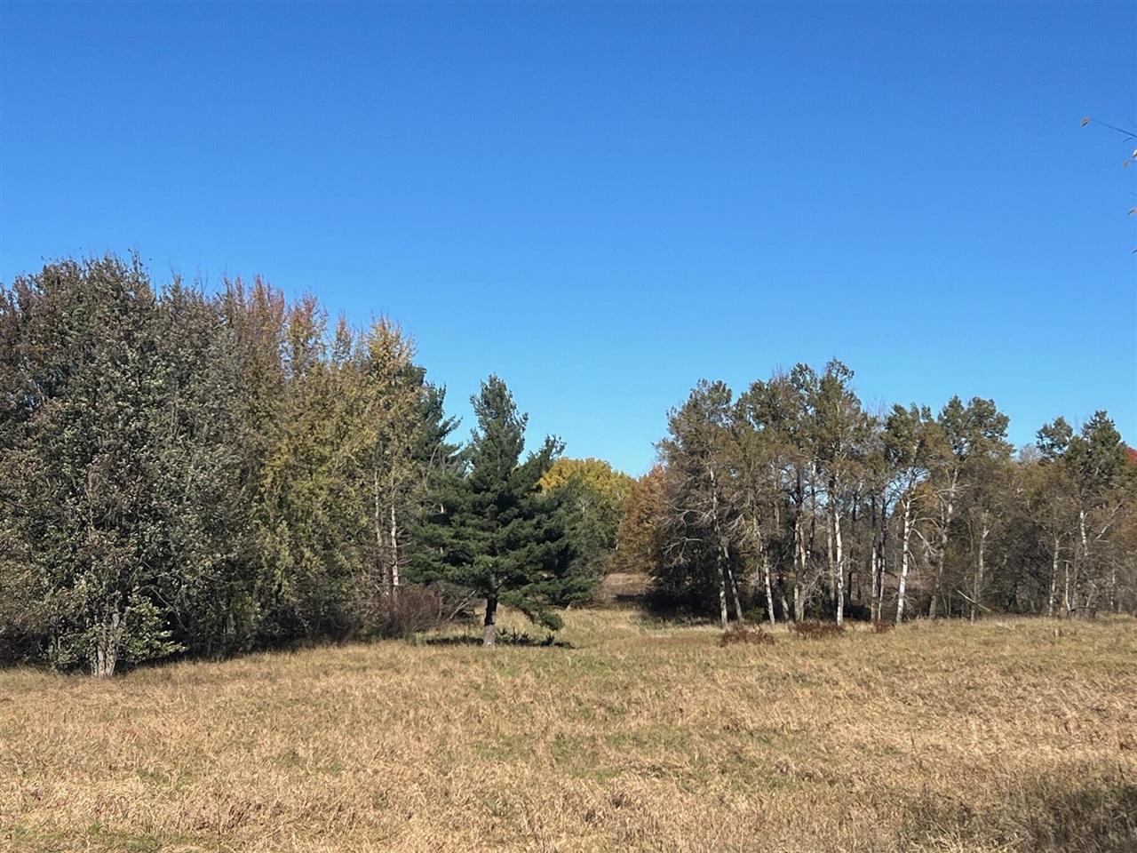 3344 E Hansen Road, Custer, MI, 49405