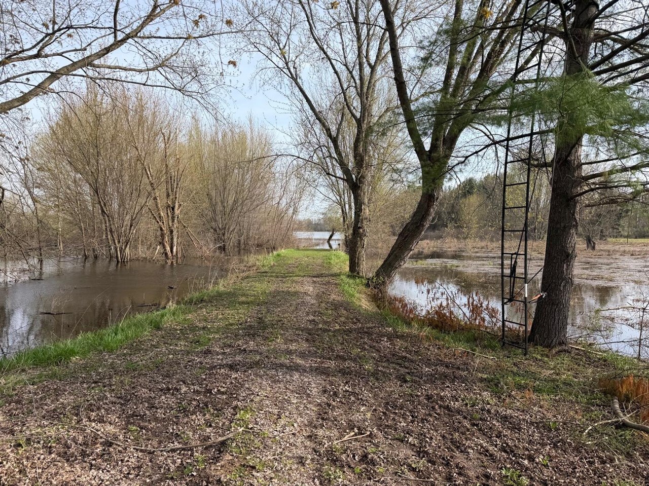 3344 E Hansen Road, Custer, MI, 49405