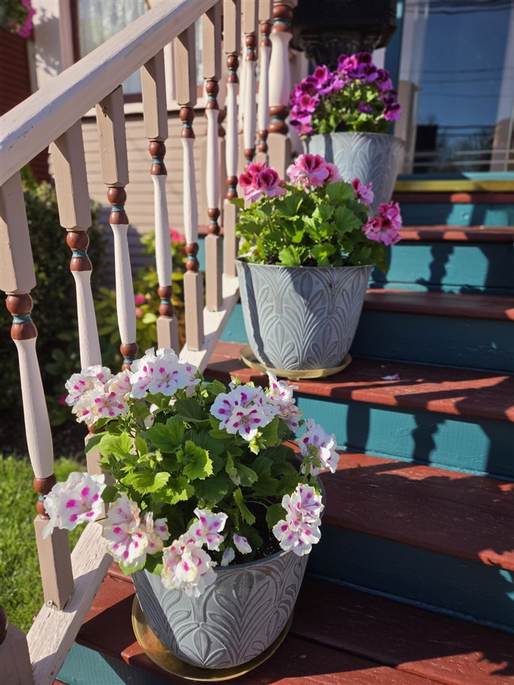 1019 Pearl Street, Saint Joseph, MI, 49085-1351