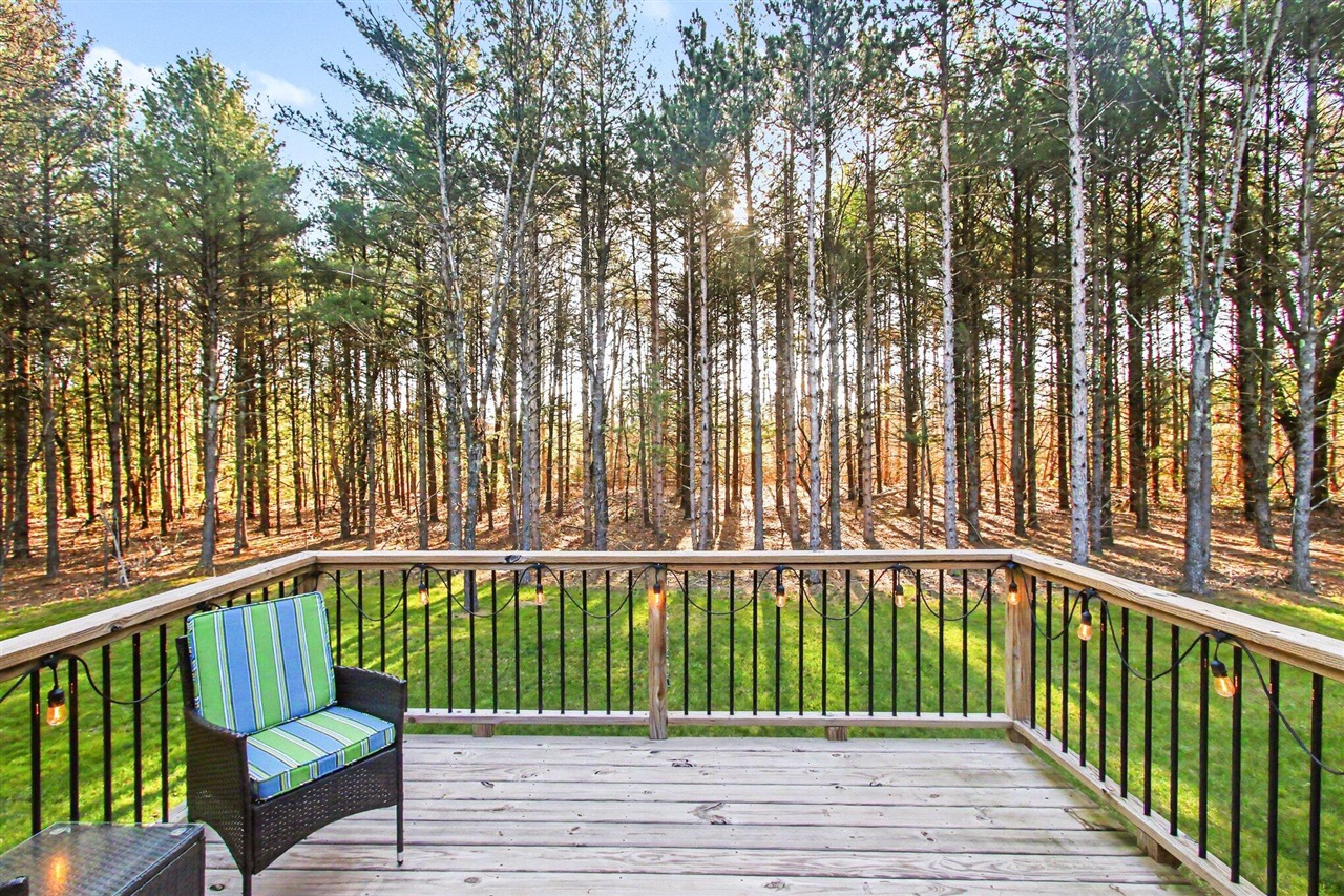 1671 Pineland Path, Allegan, MI, 49010