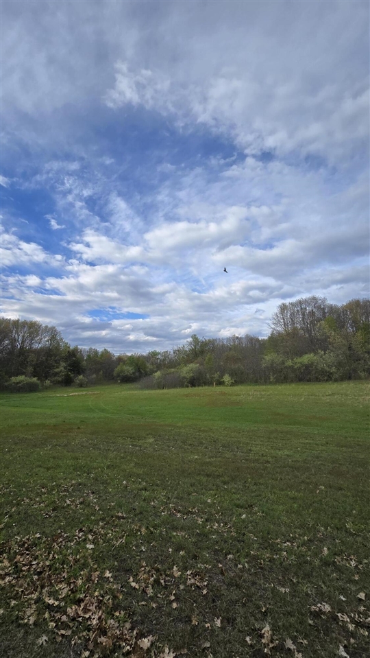 W Copeland Road, Bronson, MI, 49028