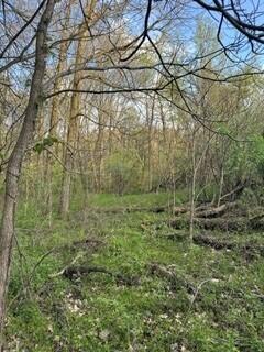 675 Marsh Road, Plainwell, MI, 49080