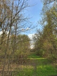 675 Marsh Road, Plainwell, MI, 49080