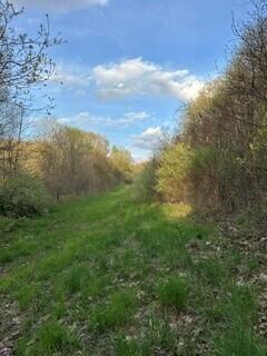 675 Marsh Road, Plainwell, MI, 49080